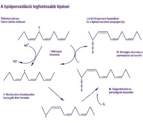 flavonoidok_1.jpg